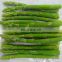 pollution-free food frozen asparagus IQF factory hot selling fitness equipment with fresh quality