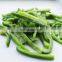 Sinocharm Organic vegetables High Quality Fresh IQF Green Pepper Strips Frozen Green Pepper