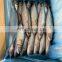 frozen mackerel price frozen pacific mackerel fish scomber japonicus