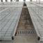Greenhouse Tomato Planting Trough