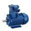 explosion-proof motor