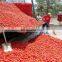 big capacity hot selling tomato sauce production line tomato sauce processing machinery