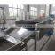 GYJL-2020 Complete Concentrated black plum juice production line