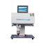 Portable Dot Peen Nameplate Marker LCD Screen Control For Valves Frame and Engines Letters Numbers Electric pin marking machine