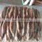 Precooked Pacific mackerel lion and Scomber Japonicus