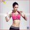 Low Price custom sport bra elastic band, free sportswear