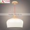 wooden pendant light hanging pendant lighting JK-8005B-02 Wooden LED pendant light