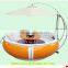 BBQ Electric boat for sale