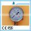 gas regulator with gauge