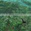 High density PP fruit grape protection net/anti bird net