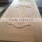 wood veneer door skin/teak wood door skin/molded melamine door skin