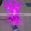 Frankever fiber light decoration optical light with led engine