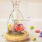glass bread cover,glass cheese cover,mini dome cloches