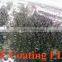 Car coating use in car Body -OEM Available