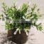 Plastic Artificial Potted Grass Bonsai Plants for Festive Decor