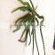 succulent supplier China manufacture artificial mini succulent plastic succulent for plant wall