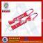  express Cool design cheap custom carabiner lanyards printing machine