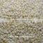 Looking for white sorghum prices suppliers