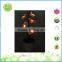 Plastic flower decoration solar light for outdoor