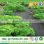 Agriculture Fabric /pp Spunbond Nonwoven Weed Control