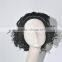 Synthetic Short Hair Wig Anime Cos Wig N275