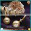Top quality hot selling south sea shell pearl hoop earrings