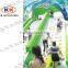 Sealed Giant Inflatable Slip N Slide, Inflatable City Slide, Giant Inflatable Water Slide City