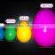  express plastic customize large easter egg