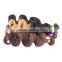 6A Malaysian Burgundy Ombre Hair Extensions 3pcs Mink Virgin Hair Malaysian Body Wave 1B 99j Red Burgundy Ombre Human Hair Weave