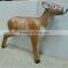 Shooting Archery Deer Target