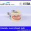 Dental Moderate Periodontal Disease Model Teaching Demonstration