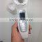 High-efficiency ion nutrition-in beauty home use machine for personal care