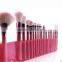 Professional pretty pink 22pcs brush set for makeup