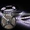 5M 5630 SMD 300 LED Fleible Light Strip Waterproof Ultra Bright