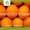 wholesale orange export with great price