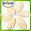 Great sales raw pumpkin seeds with best quality and price