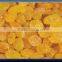INDIAN EXPORTER YELLOW RAISIN