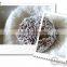 Organic Dried Desiccated Instant Coconut Water Powder
