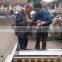 Brush type Potato washing machine Vegetable washing machine for sale