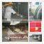 Low comsumption gypsum ceiling tile making machine
