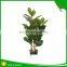 Incredibly Realistic Artificial Rubber Ficus Plant Tree for Home and House