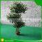 Mini bonsai artificial ficus ball tree