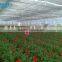 chengdu BaoLiDa low price 20 micron polythene greenhouse pe film greenhouse
