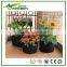 Plant Fiber,non-woven fabric Material and Grow Bags Type Plastic black nursery pot