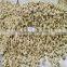 Boiled Baby Clam Nature Fresh FAO61