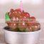 Cactus and Grape Plant Birthday Scented Candle