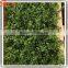 Beautiful green wall decoration green wall vertical garden green wall module