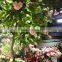 108cm hot sell beautiful artificial flower for home wedding decoration high quality