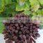 Dyed red bamboo sticks for garden&agriculture
