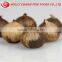 2016 best-seller fermented solo black garlic hot selling